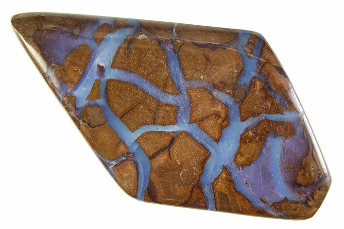 Polished Blue Boulder Opal Specimen - Queensland, Australia #351903